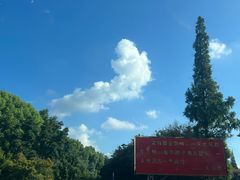 -华西村