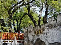 -大槐树寻根祭祖园