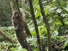 -西岭雪山大飞水景区