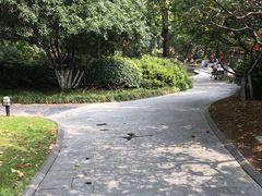 -常州古运河南大街文化旅游区-人民公园