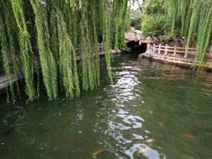 -济南大明湖景区