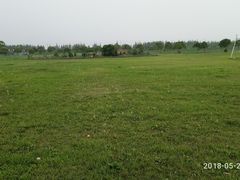 -上海都市菜园
