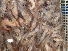 -鱼市酒店(威海水产批发市场店)