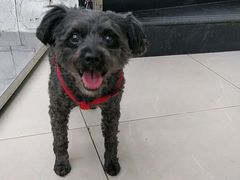 -爱侣宠医·鹦鹉专科·小型哺乳类·异宠专科(灵石路店)