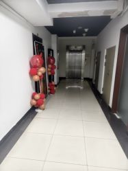 -木棉问题肌·肩颈·纹绣