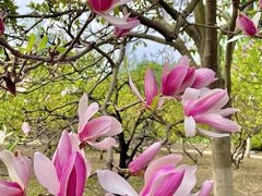 -白塘生态植物园
