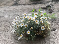 -响堂山石窟-北响堂山石窟
