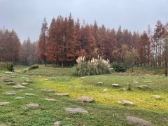 -贵阳市花溪国家城市湿地公园