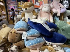 -九木杂物社(东方宝泰店)