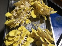 -仙蘑洞