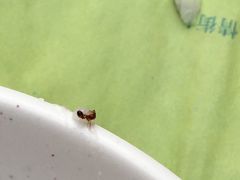 -海口骑楼小吃街