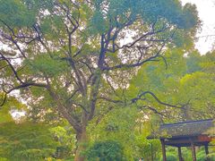 -杭州植物园