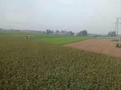 -红土地(地铁站)