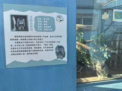 -青藏高原野生动物园