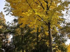 -南京双门楼宾馆(盐仓桥地铁站阅江楼店)