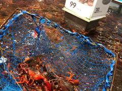-盒马鲜生(财富中心店)