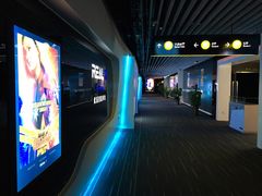 -奥斯卡升龙国际影城(RealD Cinema)