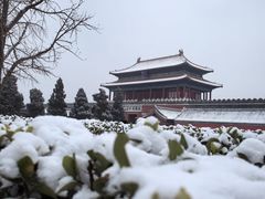 -故宫博物院(故宫)