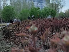 -哈尔滨师范大学(松北校区)