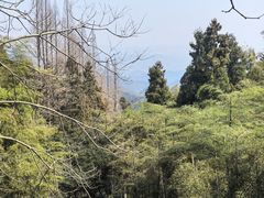 -莫干山风景区