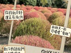 -世纪公园-世纪春沁园