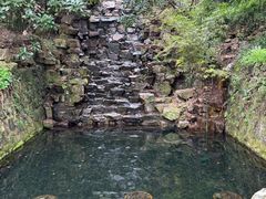 -十八棵（老龙井）御茶园(老龙井店)