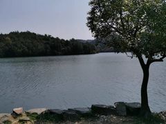 -南京市无想山景区