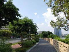 -立新湖公园