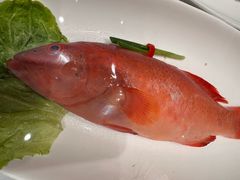 -佬太公海鸭·海鲜大排档(上海总店)
