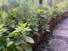 -茶肆(仙林店)
