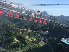 -梦幻奥陶纪景区