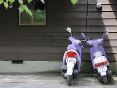 -富田农场