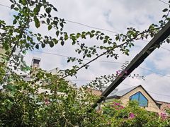 -怡得观滇餐厅·地道昆明菜·1996(海埂大坝店)