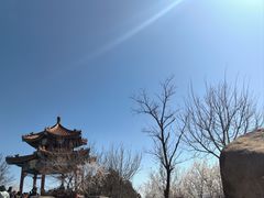 -白水寺森林公园