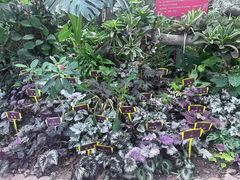 -郑州植物园