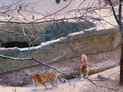 -大连森林动物园