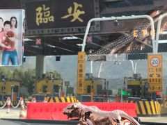 -东天目山风景区