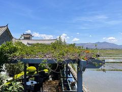 -喜林苑·稻田餐厅(品相府店)