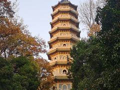 -灵谷景区