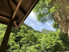 -陕西省红河谷森林公园