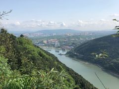 -铁山坪森林公园