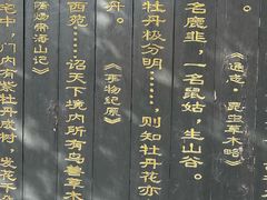 -洛阳市隋唐城遗址植物园