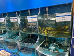 -果蔬好生活超市(双井店)