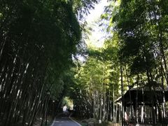 -穹窿山景区