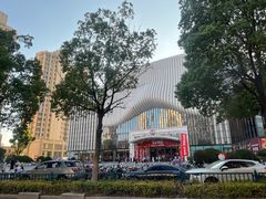 -万达广场(南京江宁店)