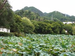 -潜口民宅博物馆