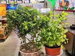 -蛙一刀·麻椒鱼火锅(金仙桥店)