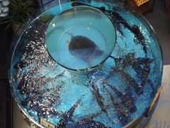 -魏铭鱼头捞饭(晋阳路店)