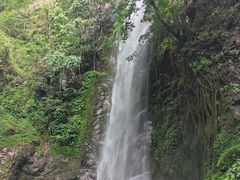 -莫里热带雨林景区