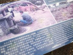 -海口火山口国家地质公园
